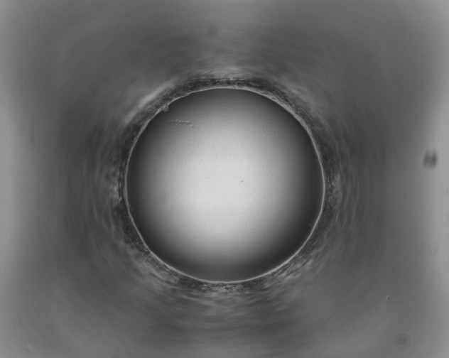 X0000091981205200709201419