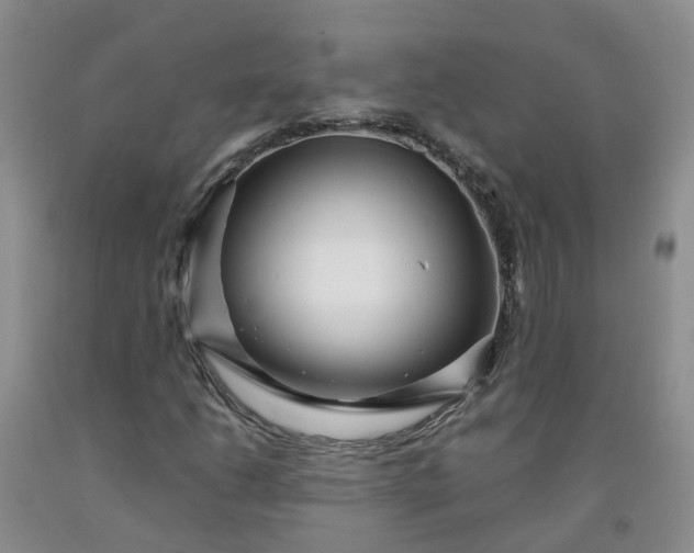 X0000091981206200709201419