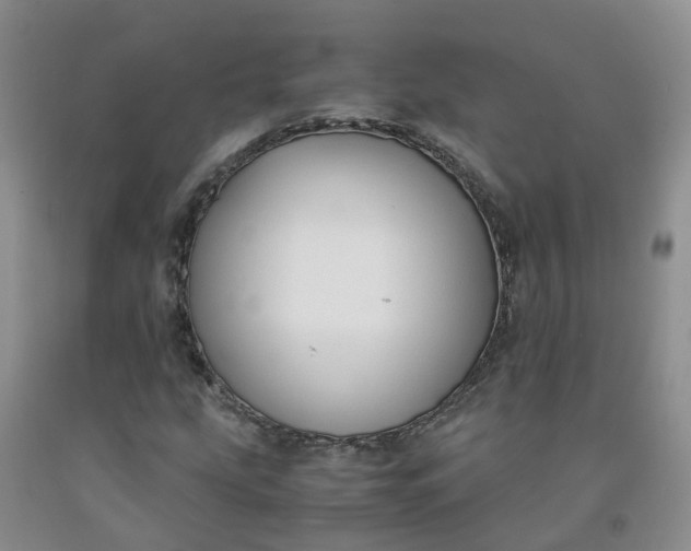 X0000091981207200709201419