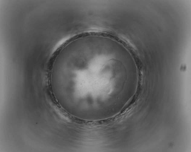 X0000091981208200709201420