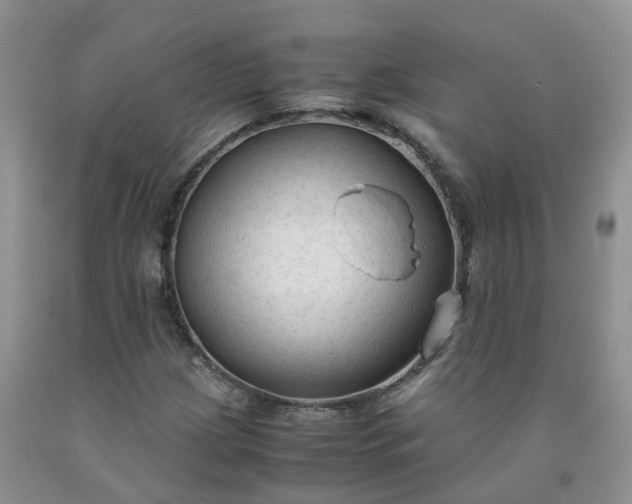 X0000091981209200709201420