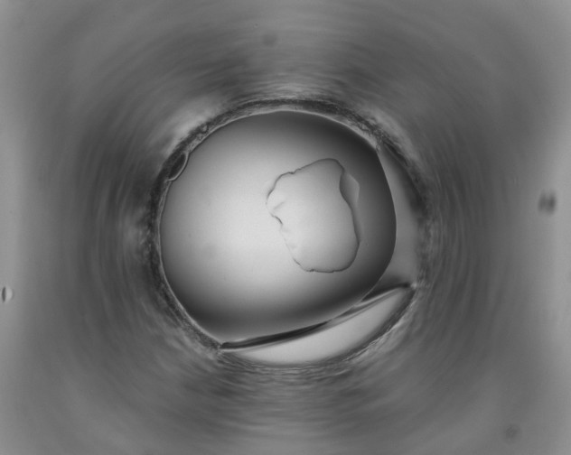 X0000091981210200709201420