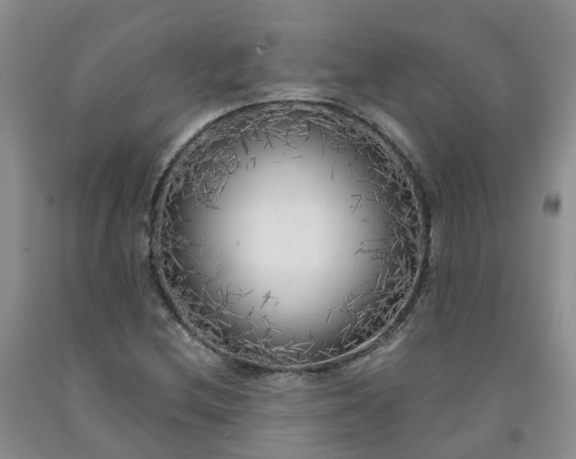 X0000091981212200709201420