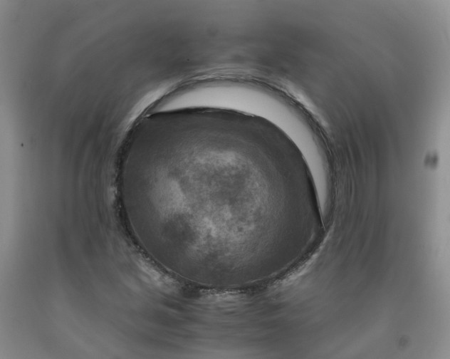 X0000091981213200709201420