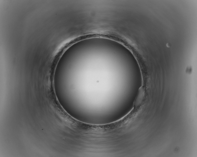 X0000091981214200709201420