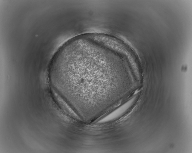 X0000091981215200709201420