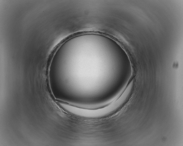 X0000091981216200709201420