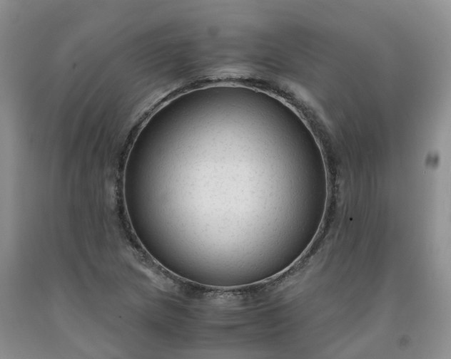 X0000091981217200709201420