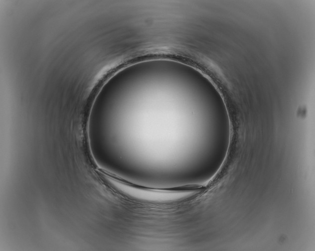 X0000091981218200709201420