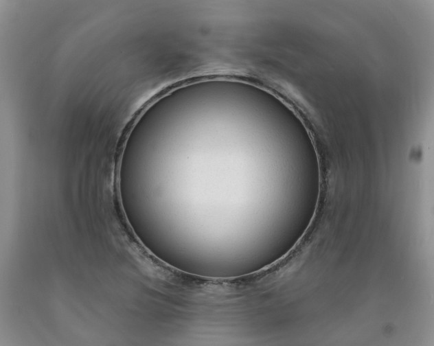 X0000091981220200709201420