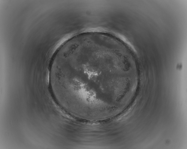 X0000091981221200709201420