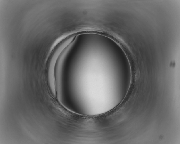 X0000091981222200709201420