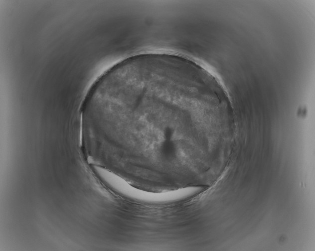 X0000091981223200709201420