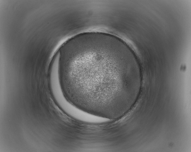 X0000091981224200709201420