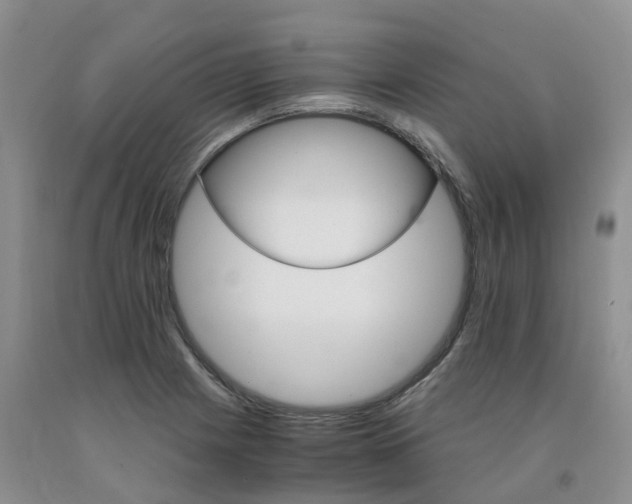 X0000091981225200709201420