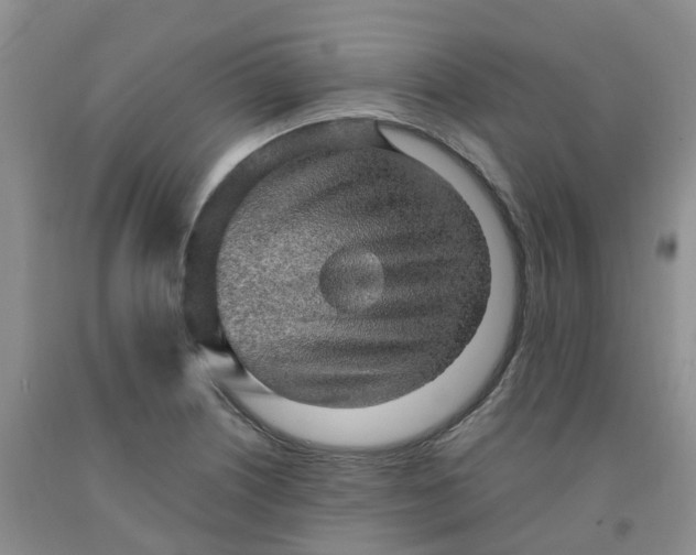 X0000091981226200709201420