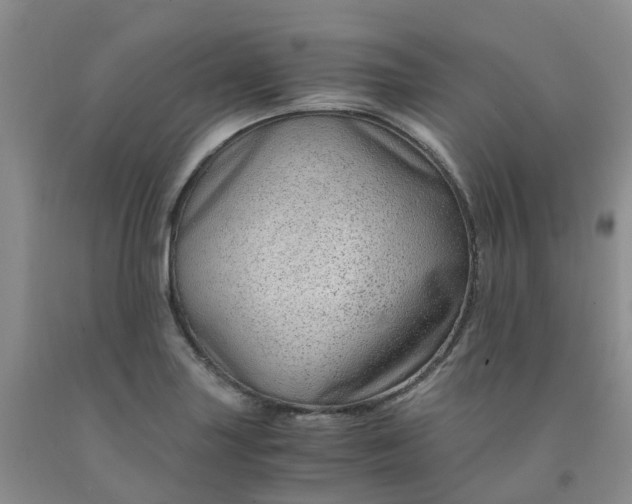 X0000091981227200709201420