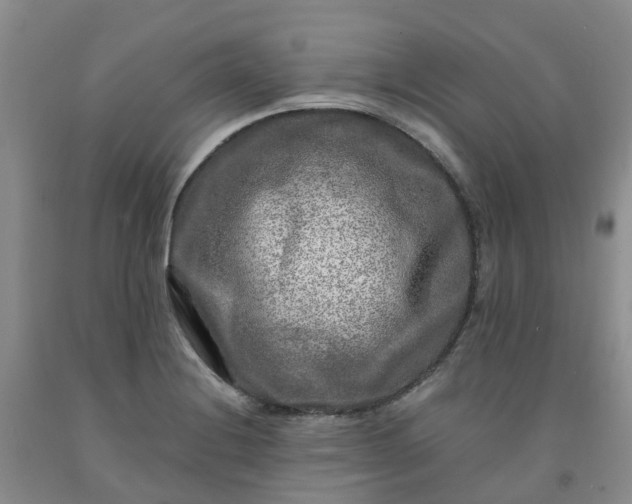 X0000091981228200709201420