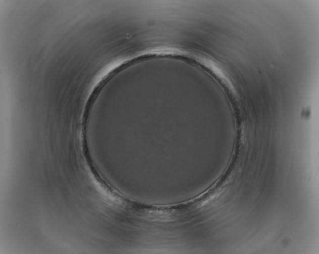 X0000091981229200709201420