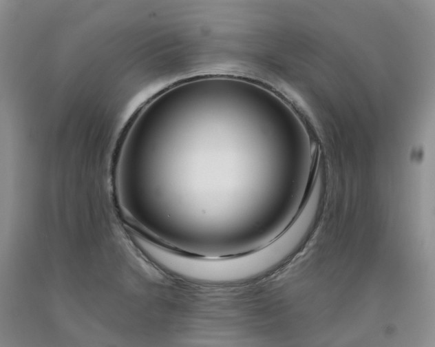 X0000091981230200709201420