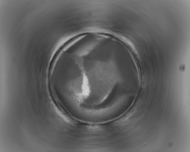 X0000091981231200709201420