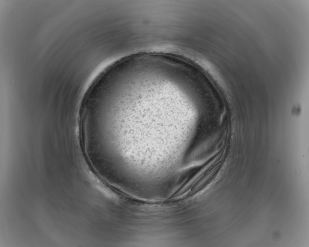 X0000091981232200709201420