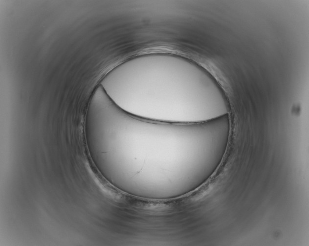 X0000091981233200709201420