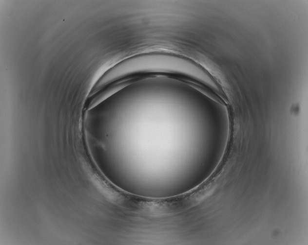 X0000091981234200709201420