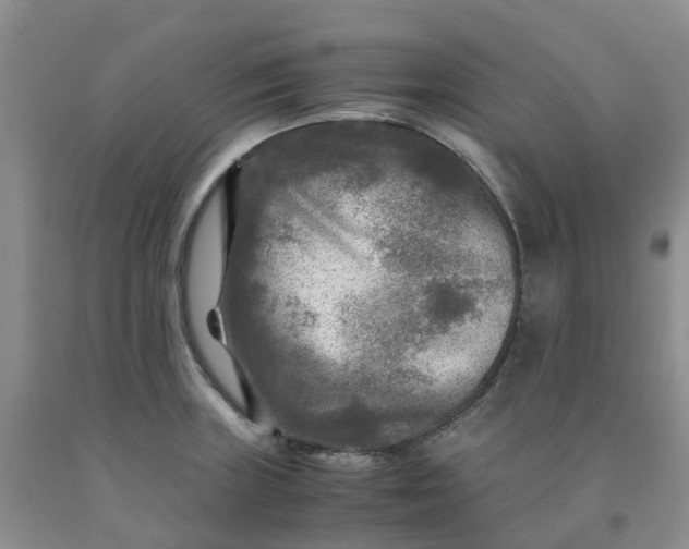 X0000091981235200709201420