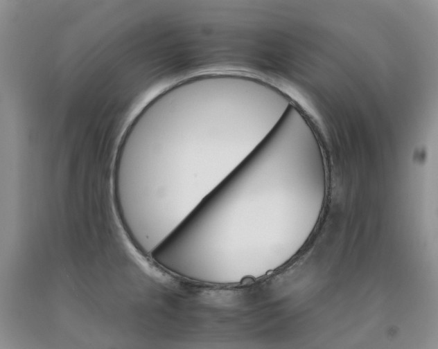 X0000091981237200709201420