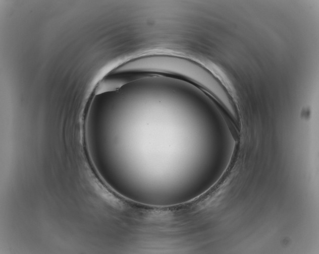 X0000091981238200709201420