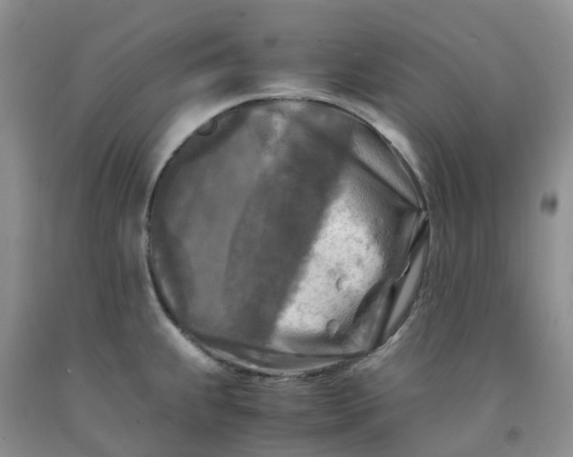 X0000091981239200709201420