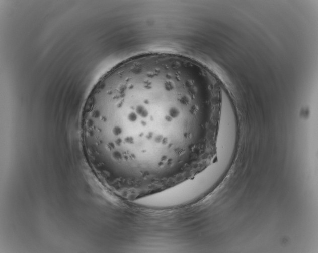 X0000091981240200709201420