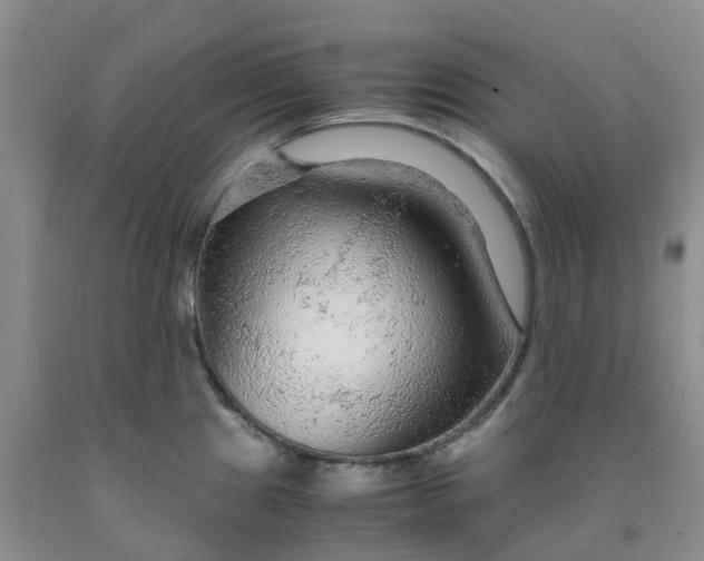 X0000091981241200709201420