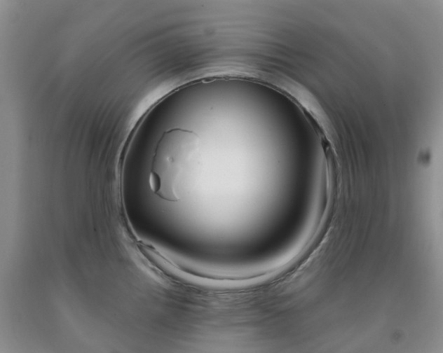 X0000091981242200709201420