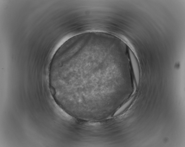 X0000091981243200709201420