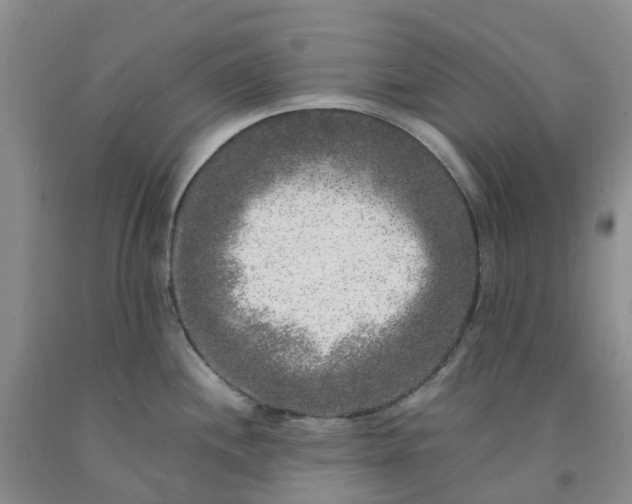 X0000091981244200709201420