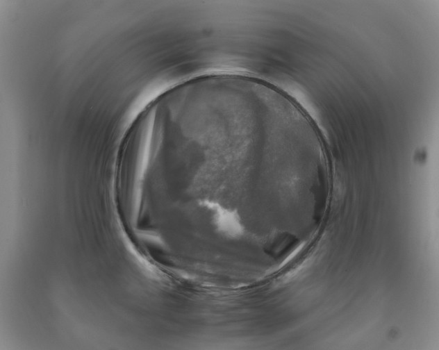 X0000091981245200709201420