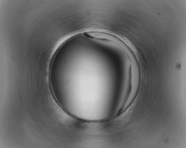 X0000091981246200709201420