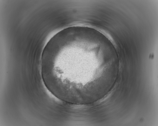 X0000091981247200709201420