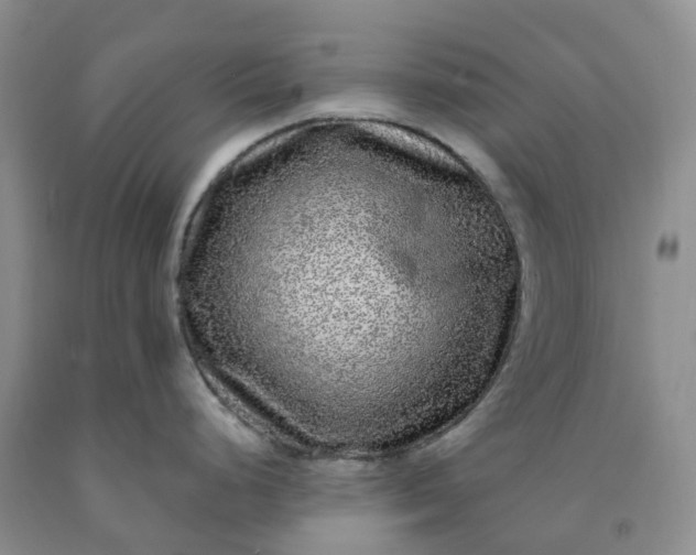 X0000091981248200709201420