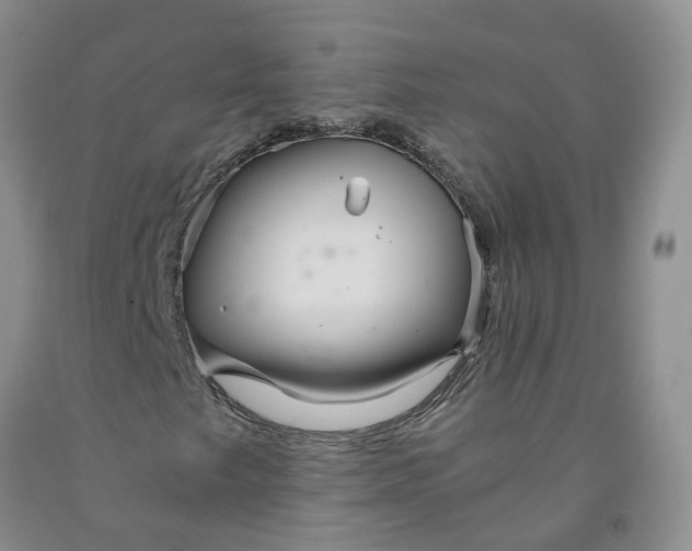 X0000091981249200709201419