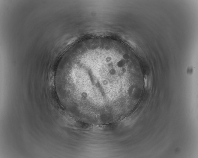 X0000091981251200709201419