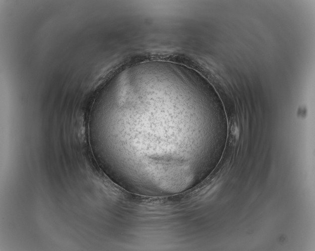 X0000091981252200709201419