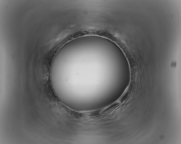 X0000091981253200709201419