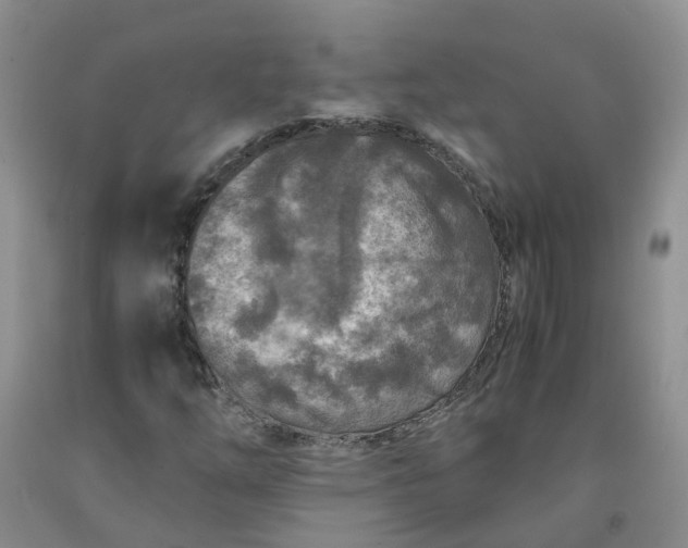 X0000091981254200709201419