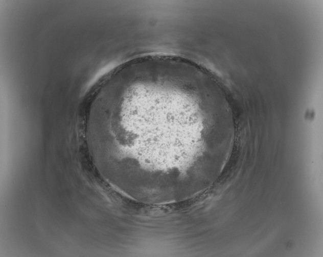 X0000091981255200709201419