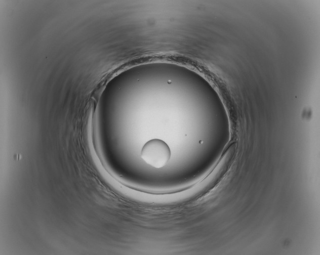 X0000091981257200709201419