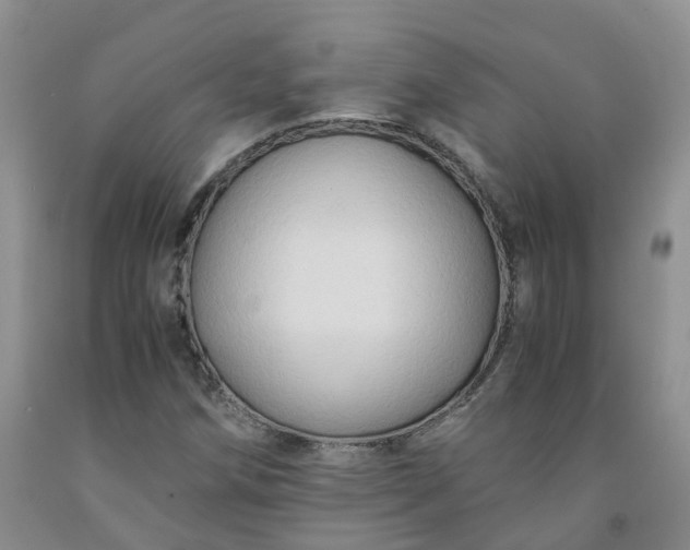 X0000091981258200709201419