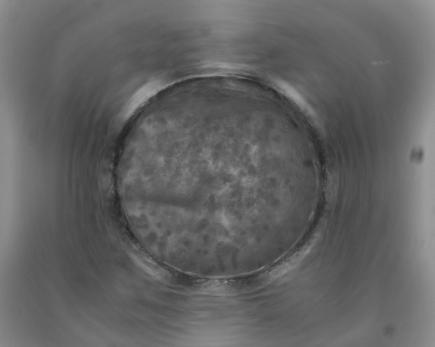 X0000091981259200709201419